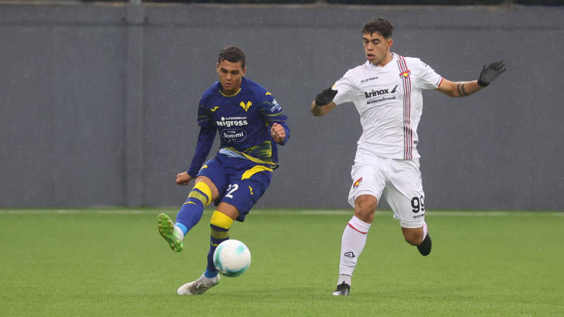 primavera hellas verona