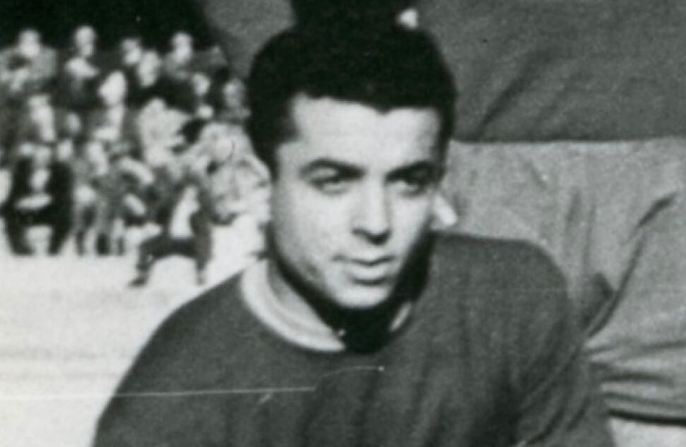 gino pivatelli hellas verona