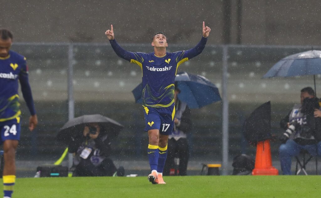 giovane hellas verona