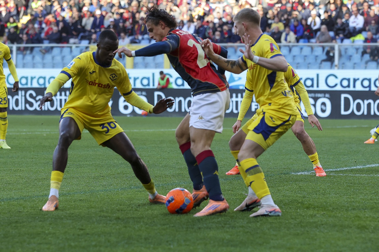 cheikh niasse nicolas valentini hellas verona