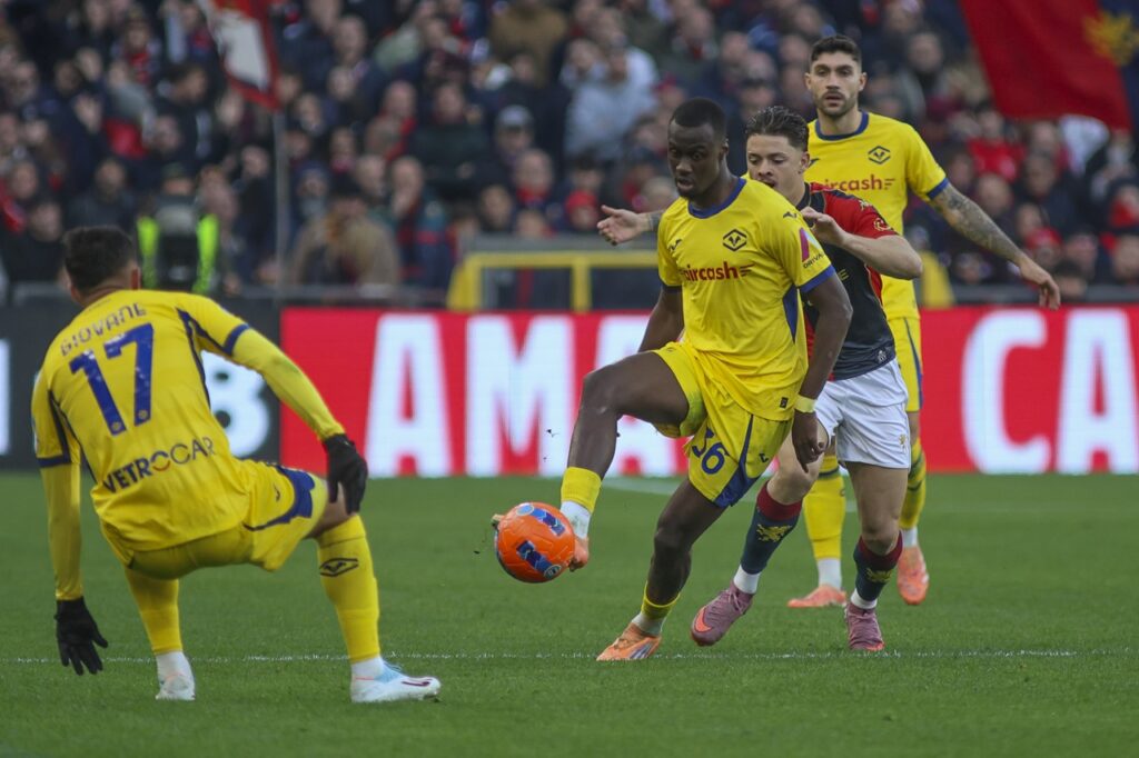 cheikh niasse hellas verona