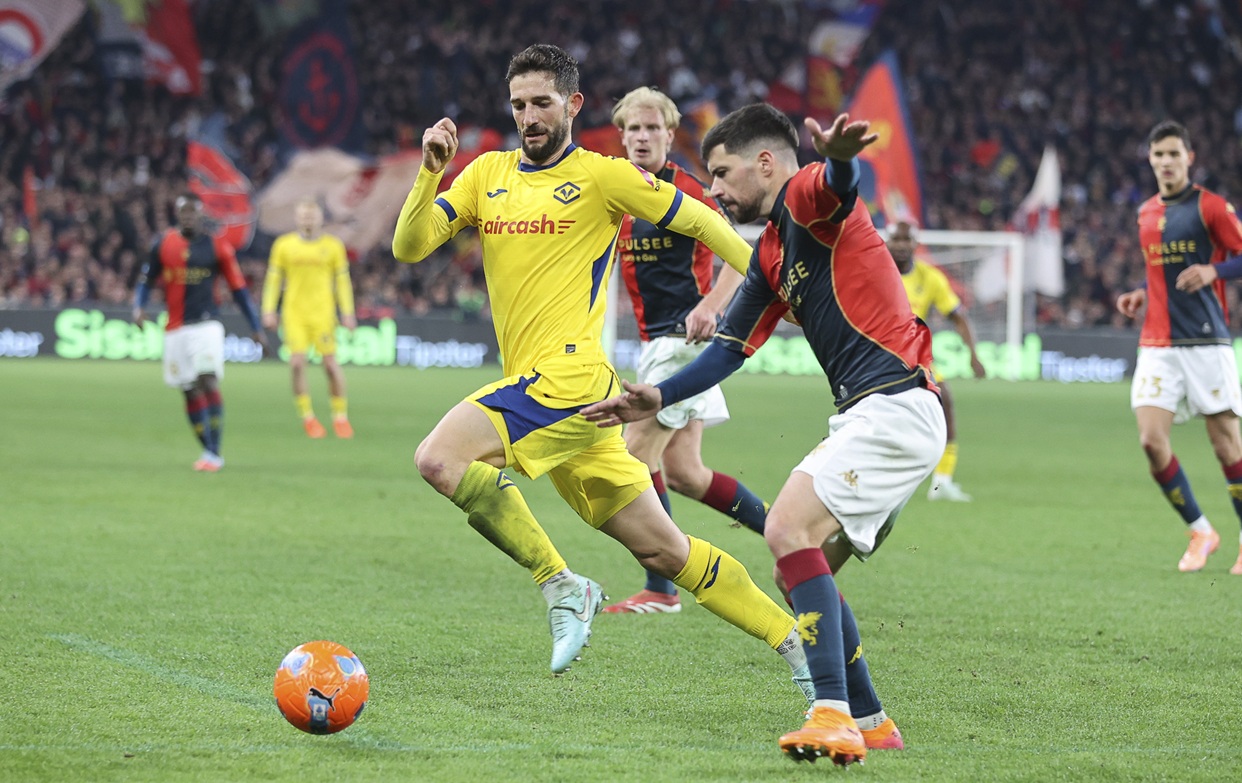 roberto gagliardini hellas verona