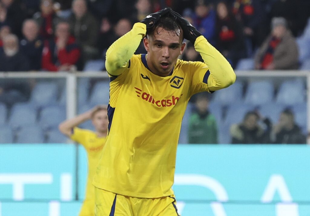 giovane hellas verona