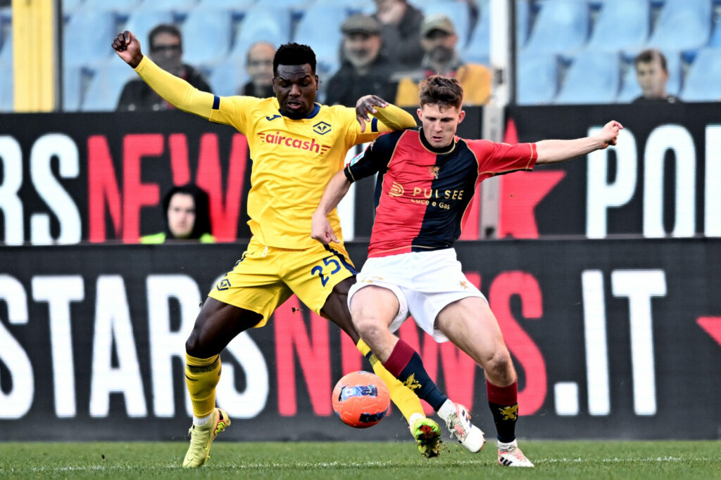 daniel mosquera hellas verona