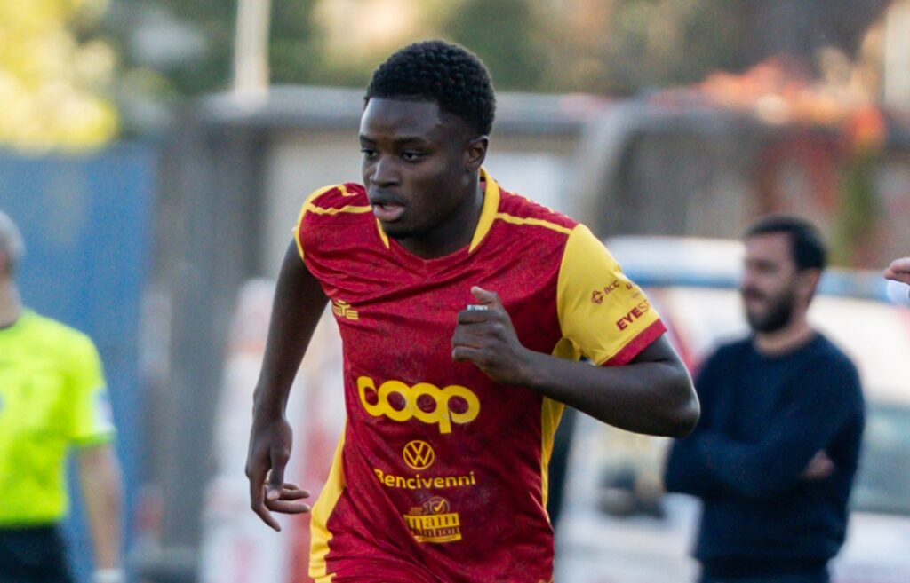 alphadjo cisse hellas verona catanzaro