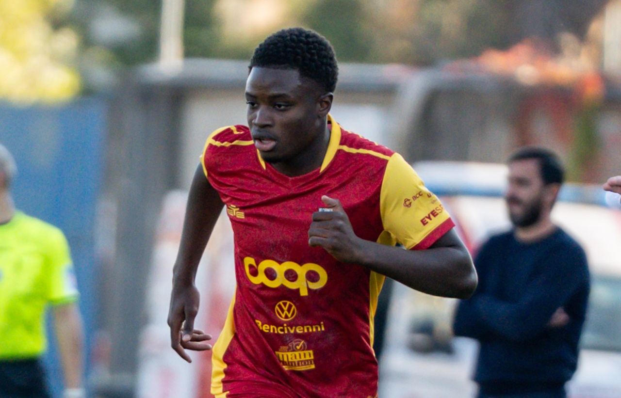 alphadjo cisse hellas verona catanzaro