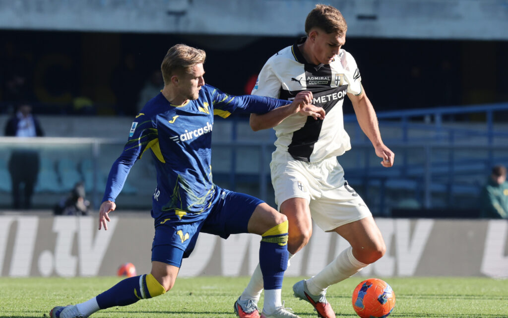 martin frese hellas verona