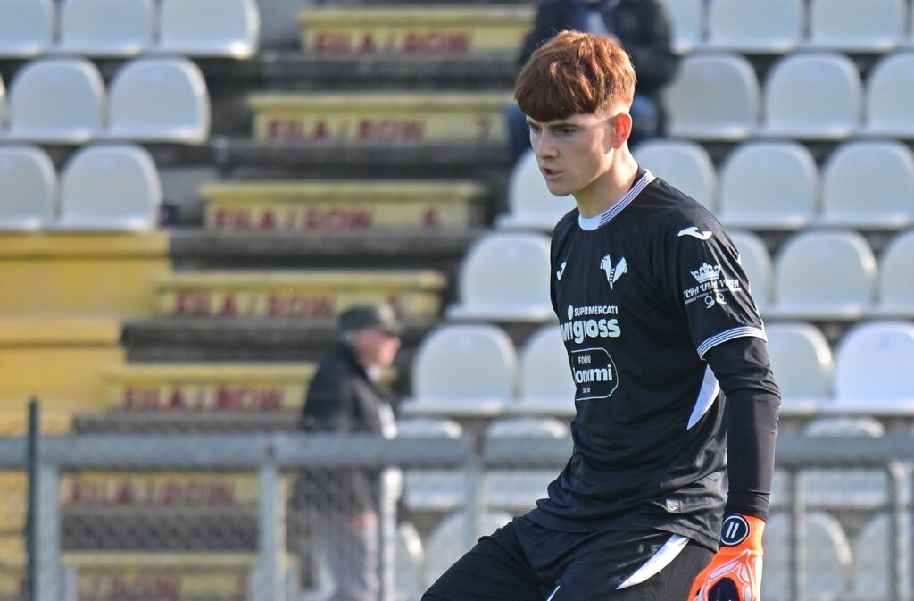 mirko castagnini primavera hellas verona