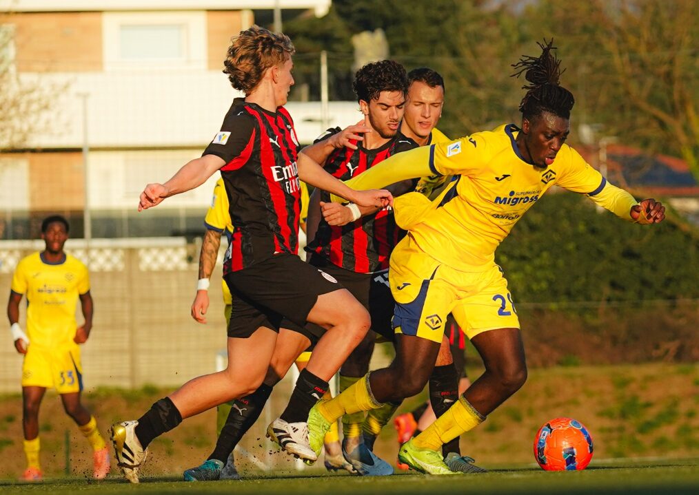 akale primavera hellas verona