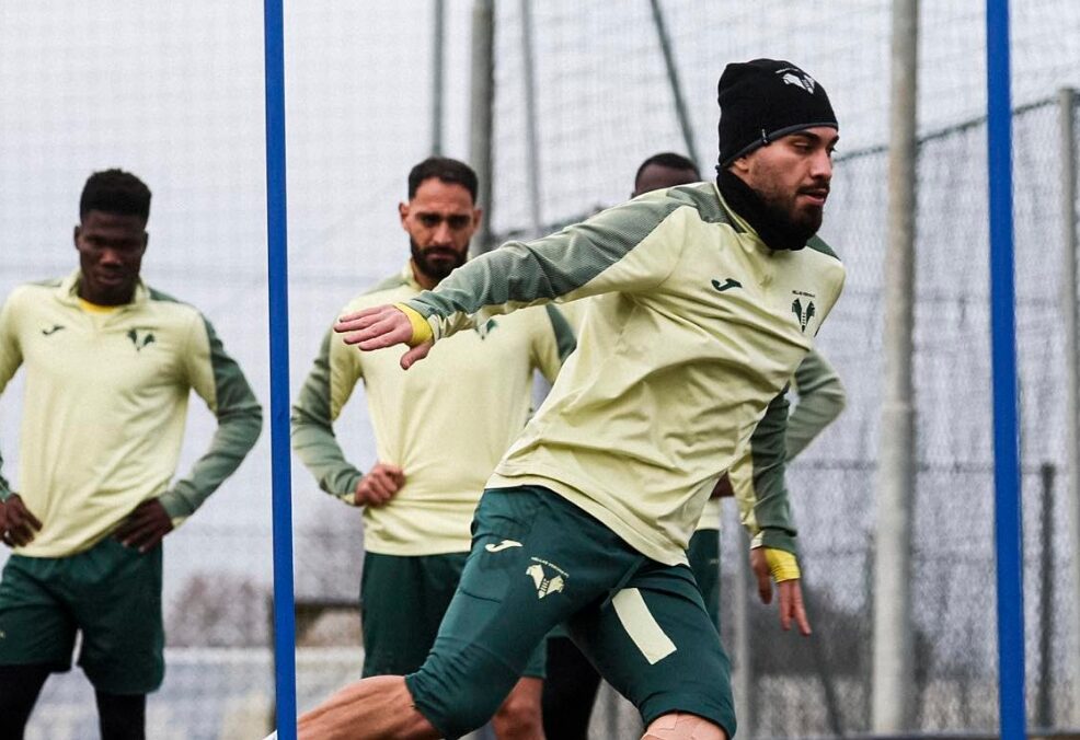 suat serdar hellas verona