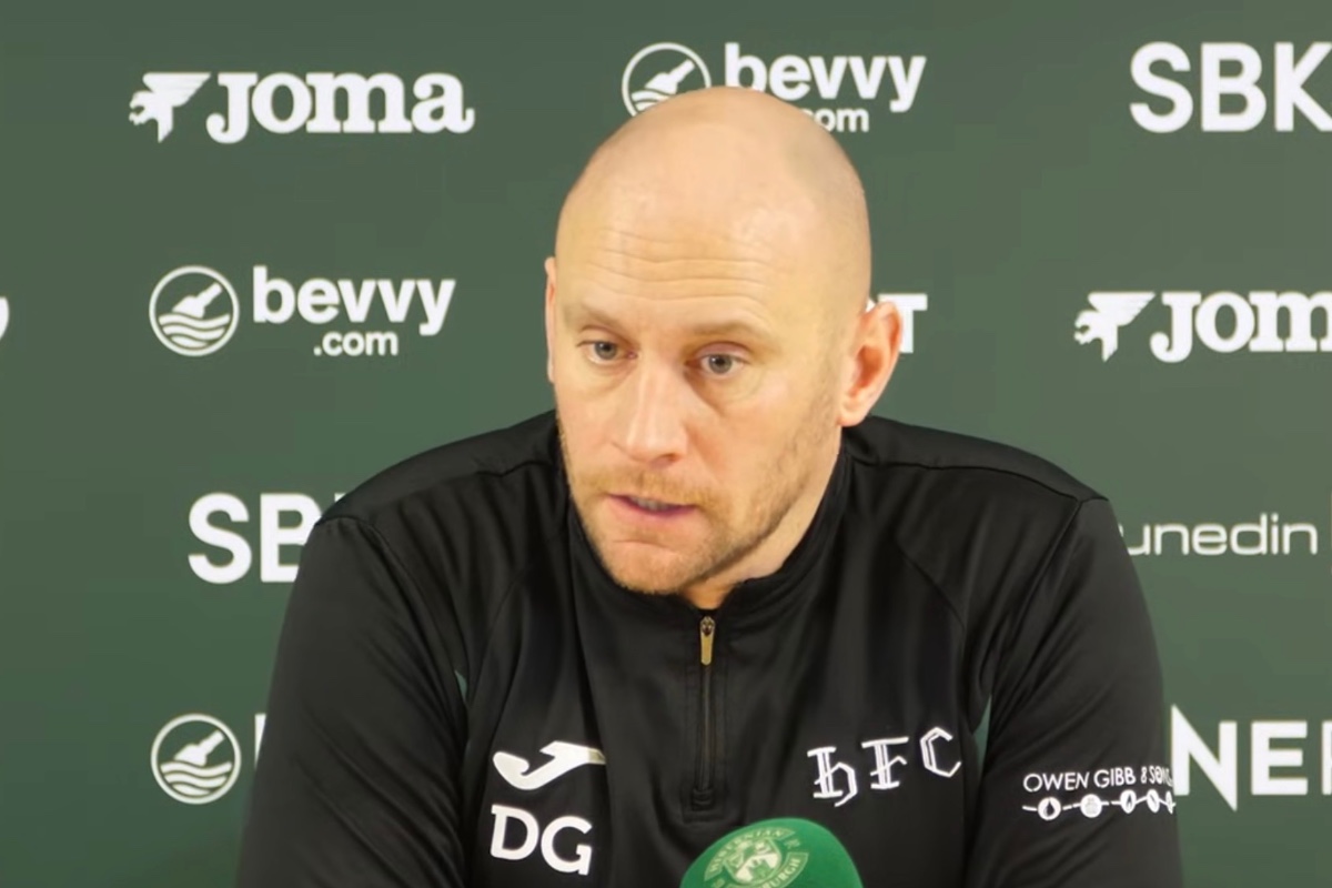 gray hibernian bowie