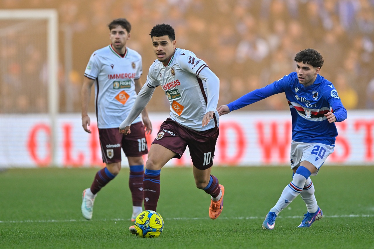 elayis tavsan hellas verona reggiana