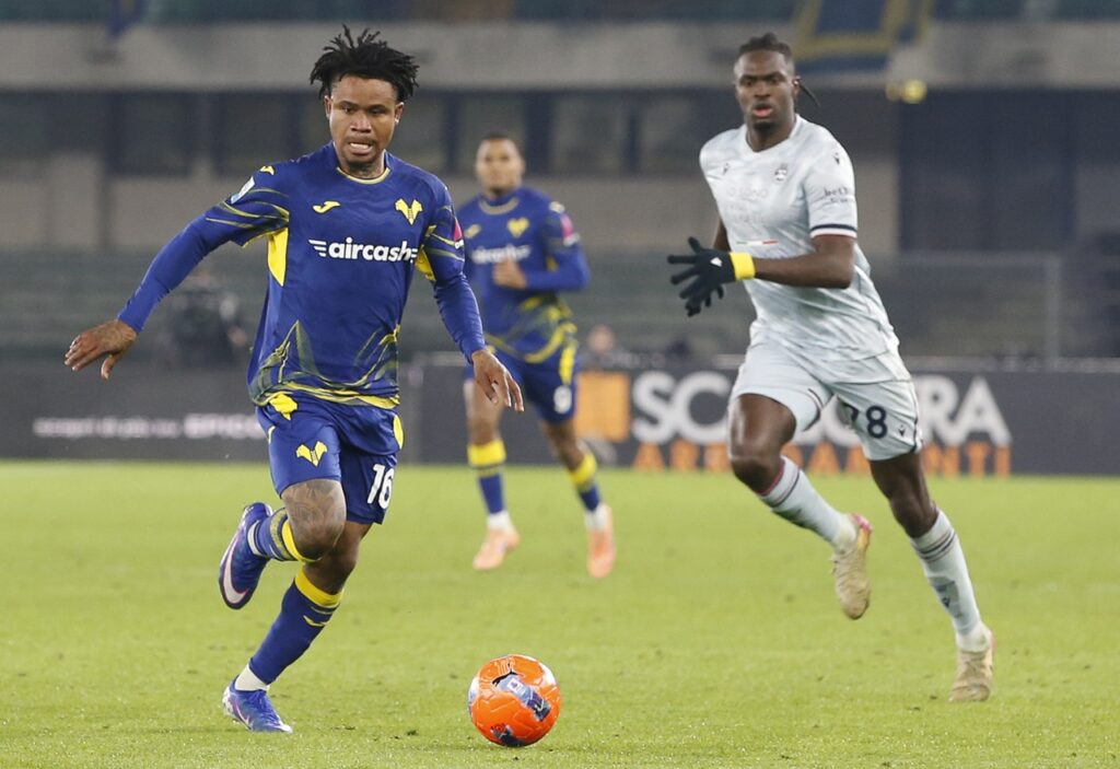 gift orban hellas verona