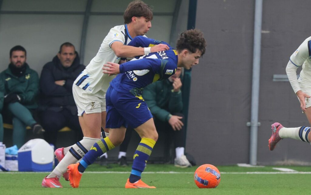 matteo mussola primavera hellas verona