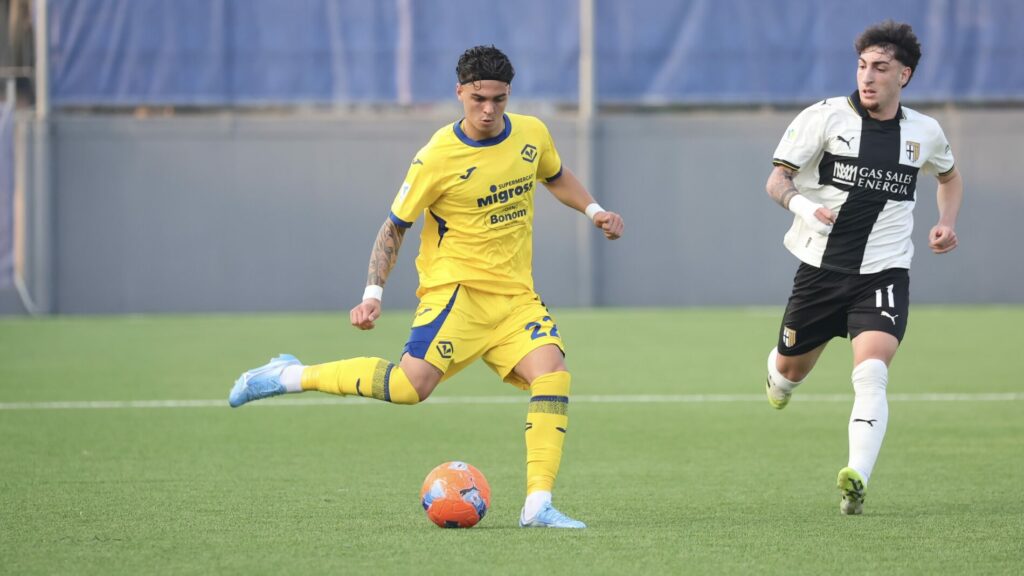feola primavera hellas verona