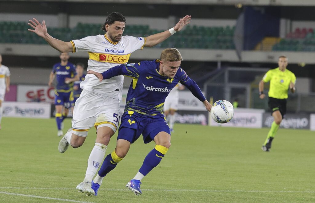 martin frese hellas verona