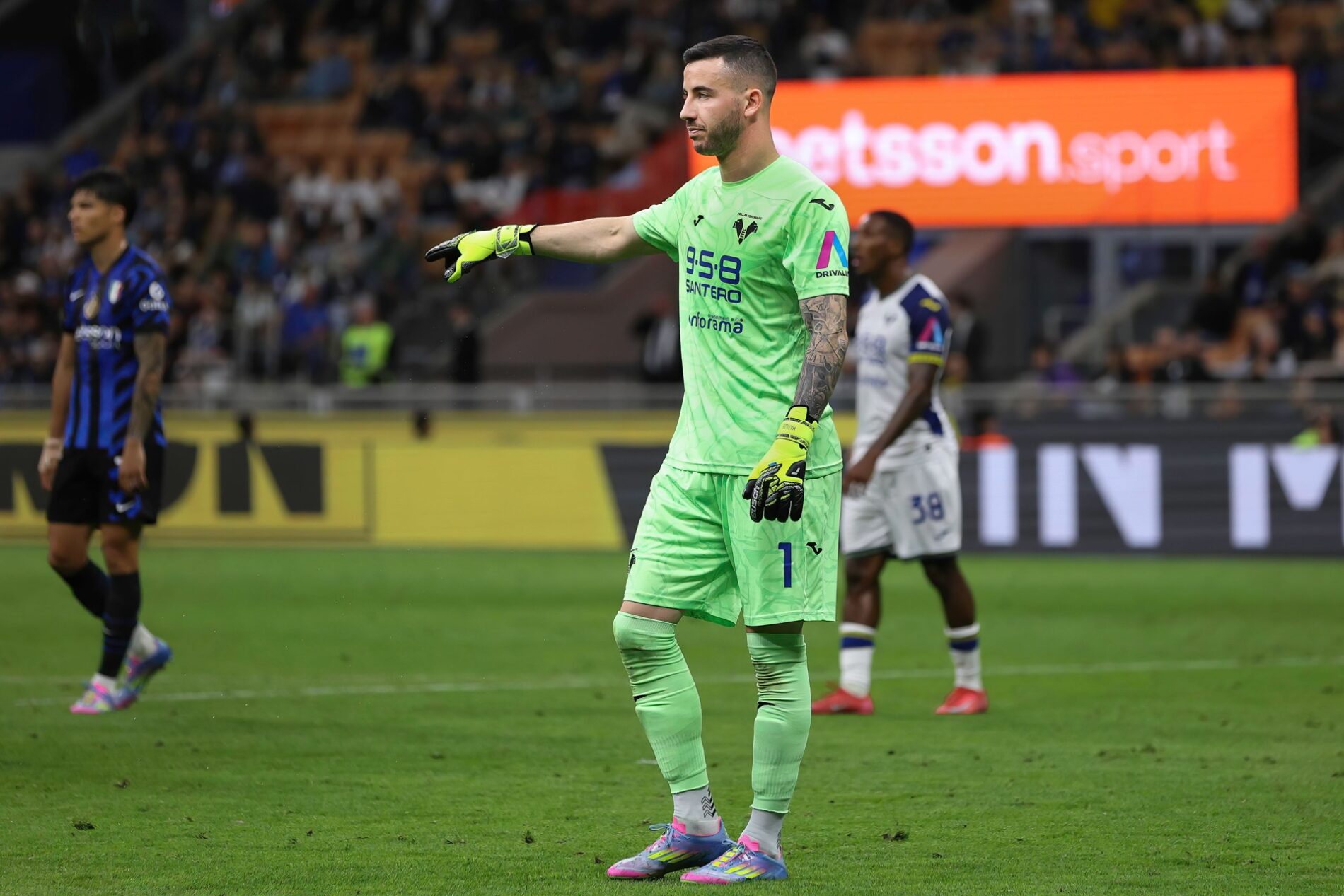lorenzo montipò hellas verona
