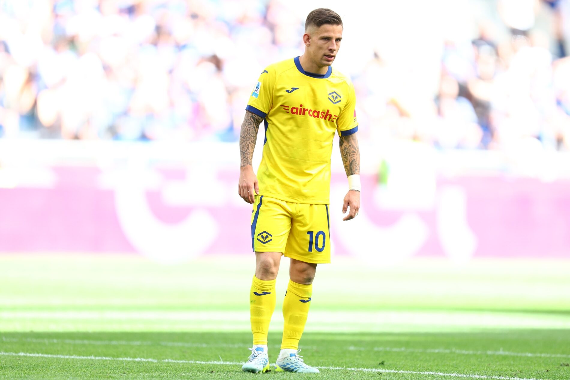 toma suslov hellas verona