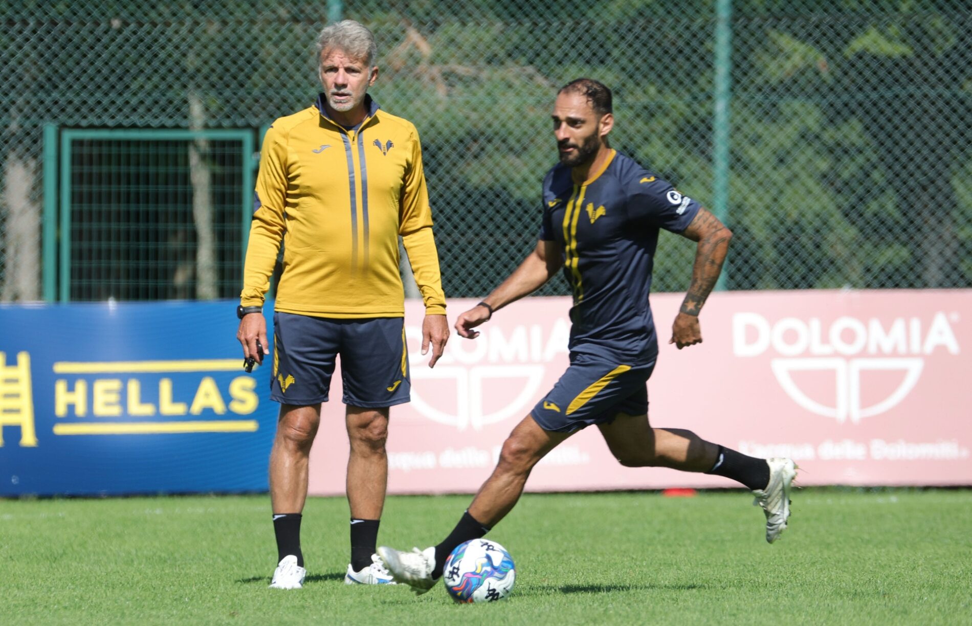 baroni kastanos hellas verona