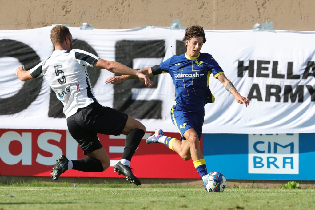 domgoj bradaric hellas verona