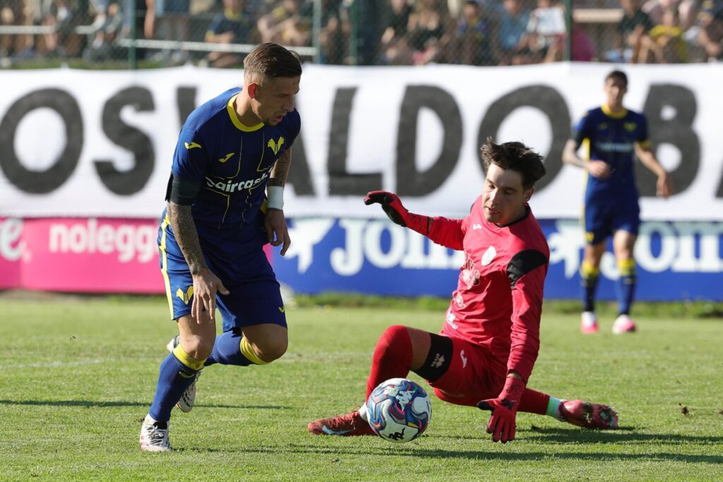tomas suslov hellas verona-dolomiti bellunesi folgaria convocati verona-arezzo
