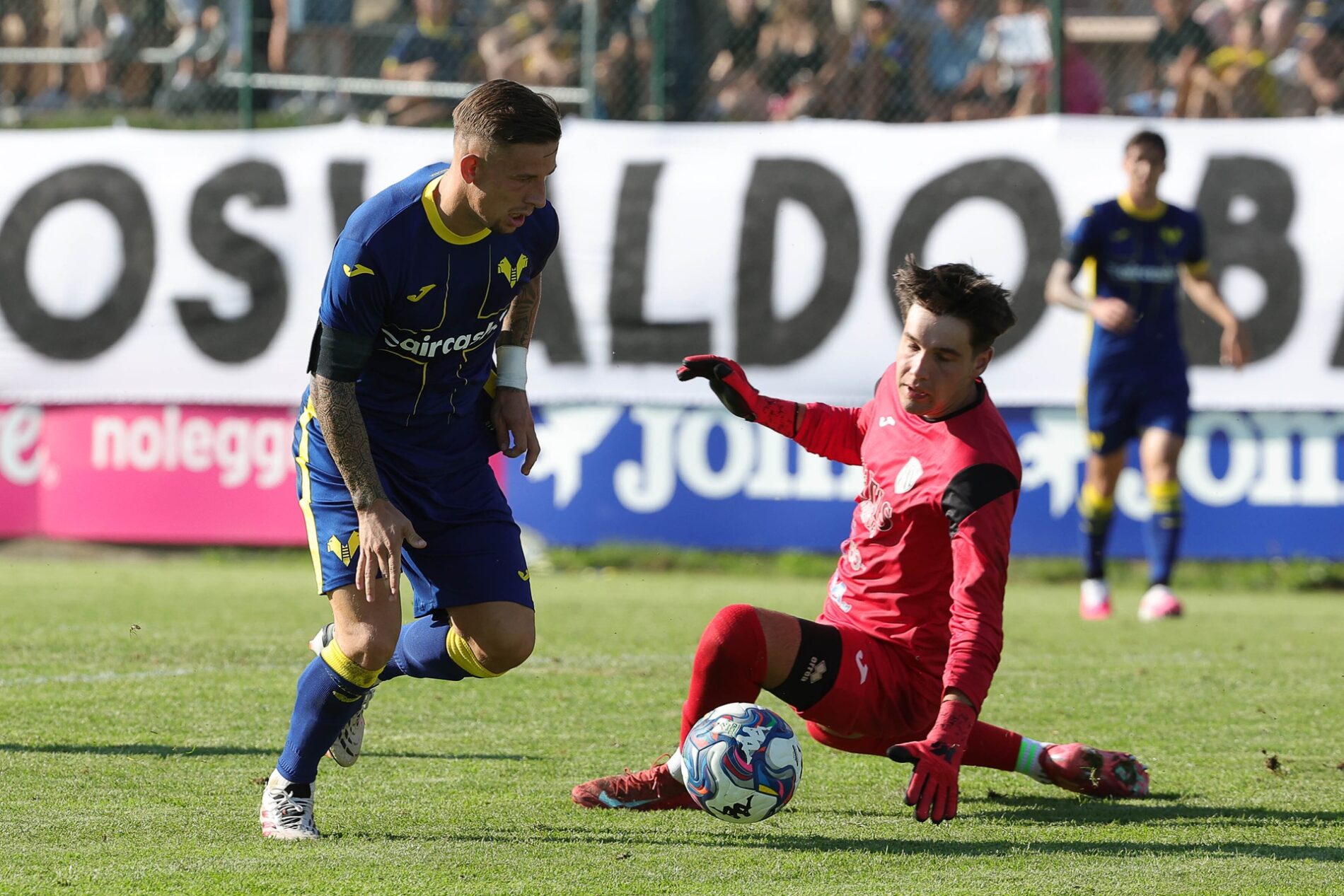tomas suslov hellas verona-dolomiti bellunesi folgaria convocati verona-arezzo