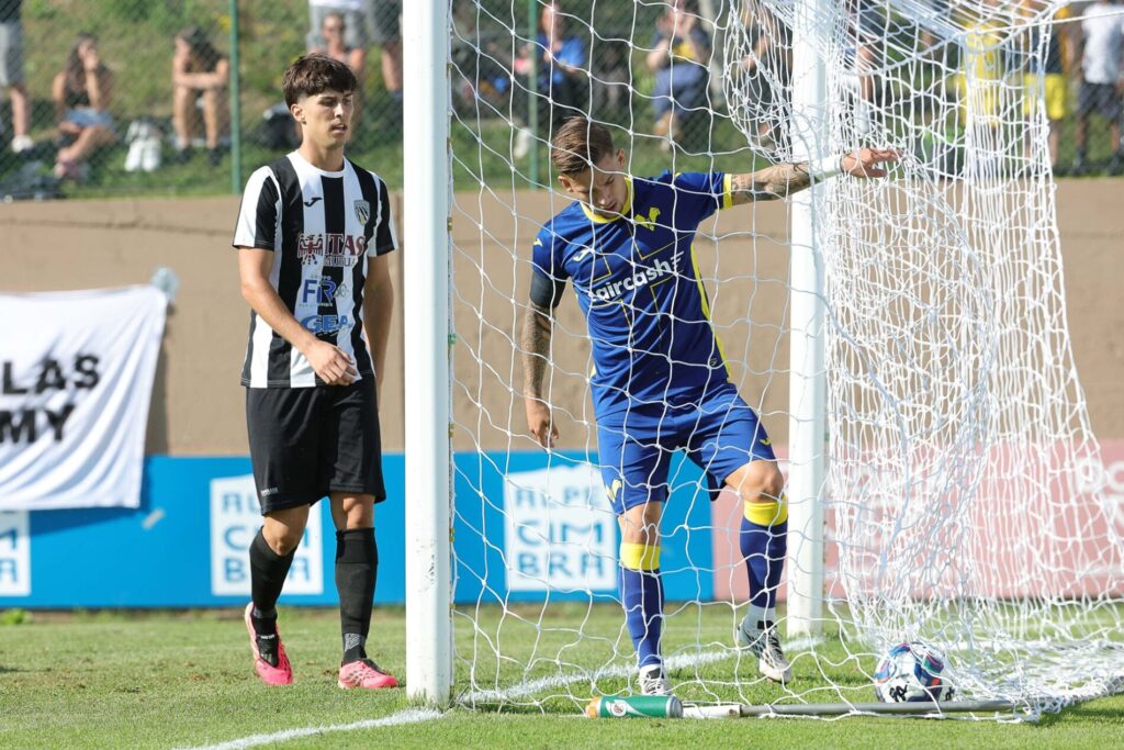 suslov hellas verona