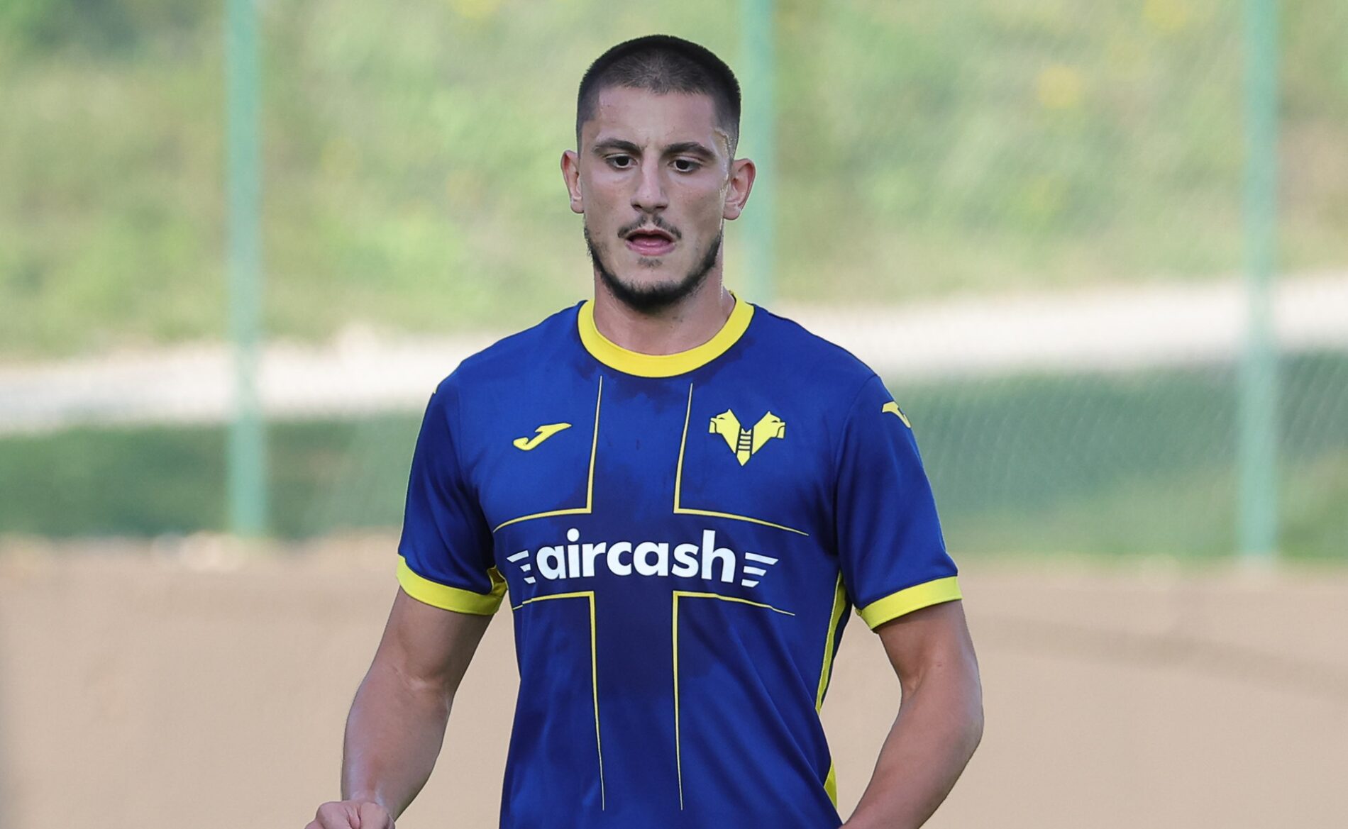 seid korac hellas verona