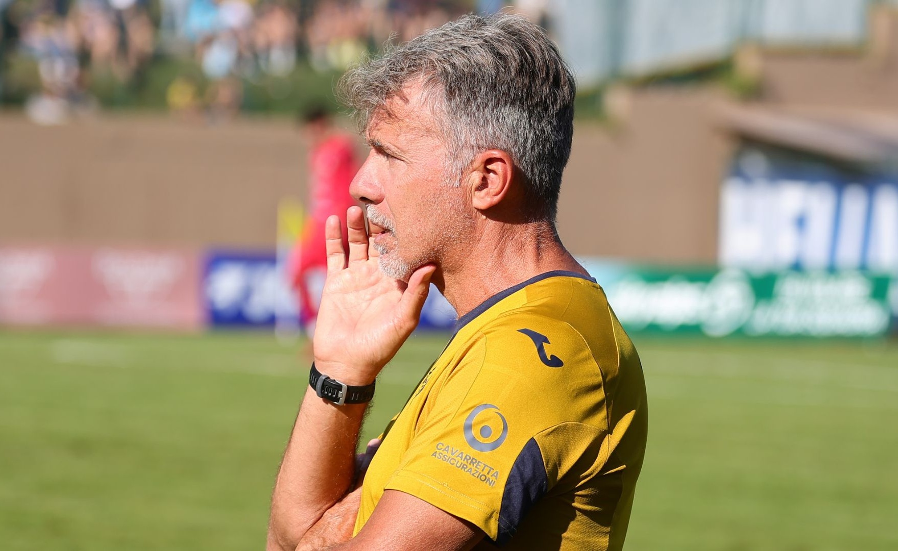 marco baroni hellas verona