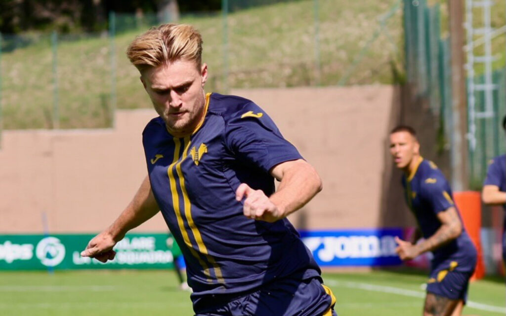 martin frese hellas verona