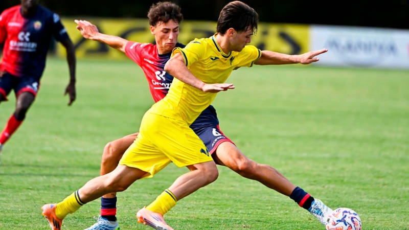 primavera hellas verona