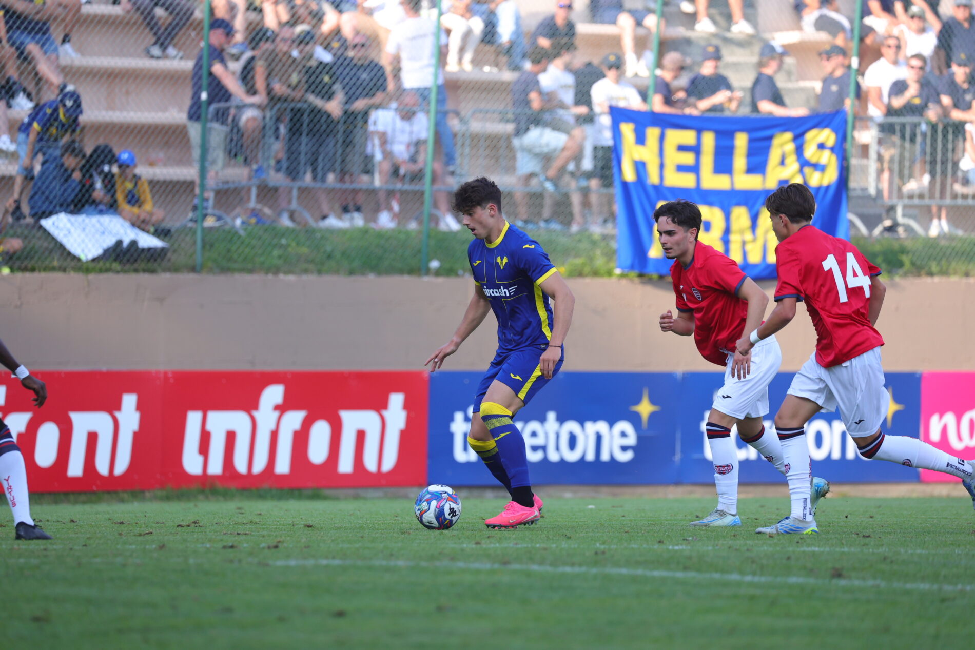 ioan vermesan hellas verona folgaria virtus