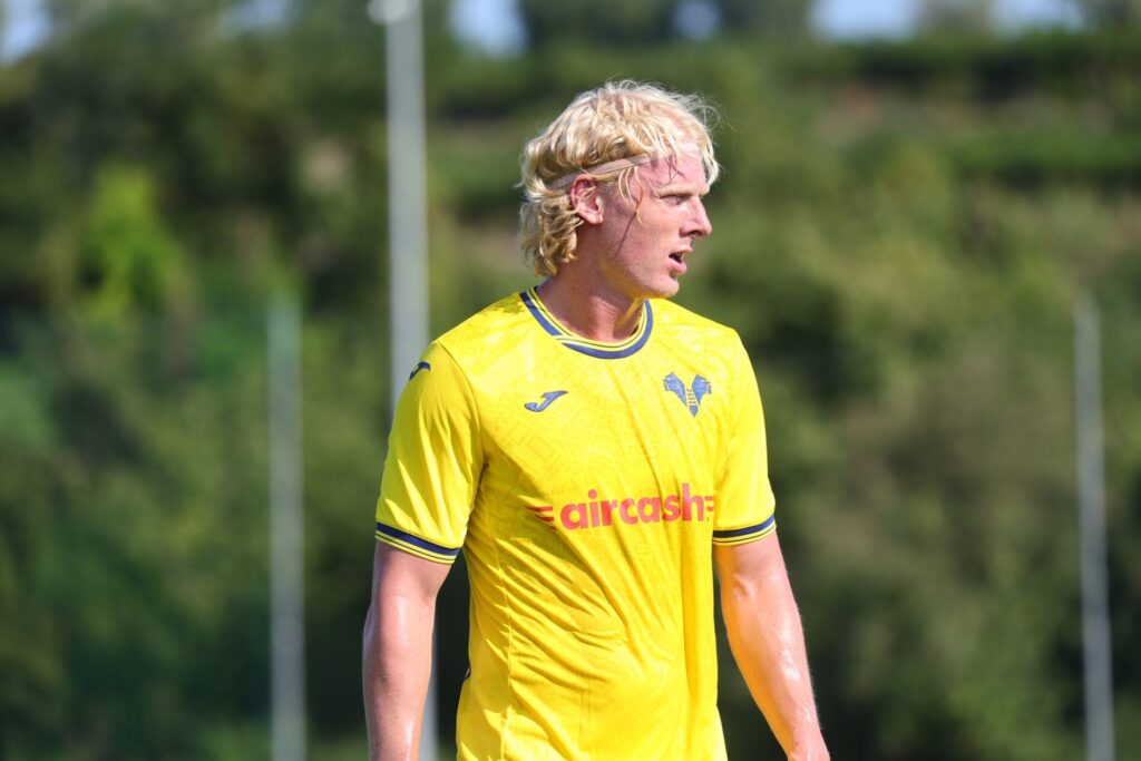 andrias edmundsson hellas verona