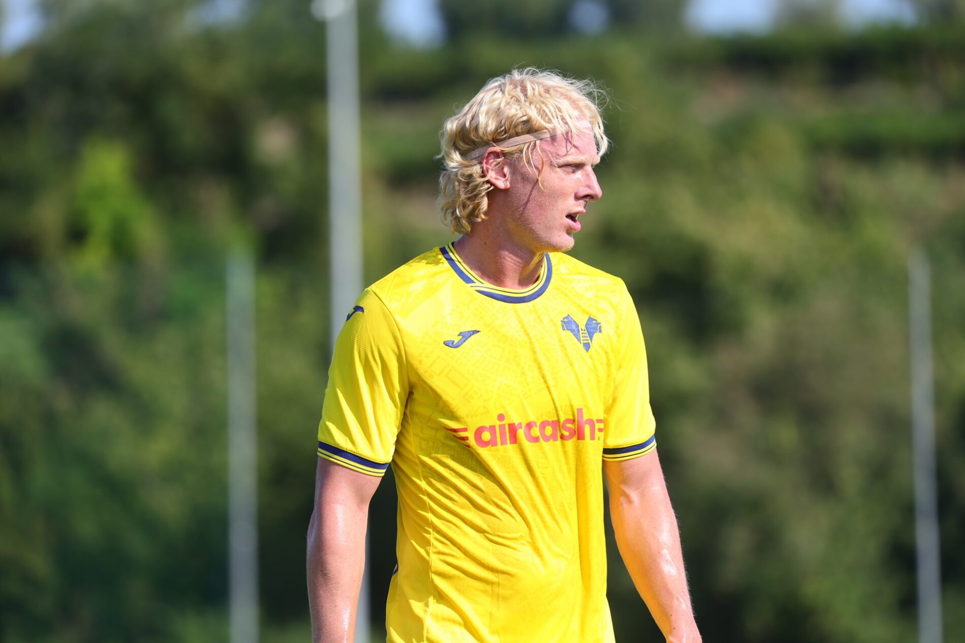 andrias edmundsson hellas verona