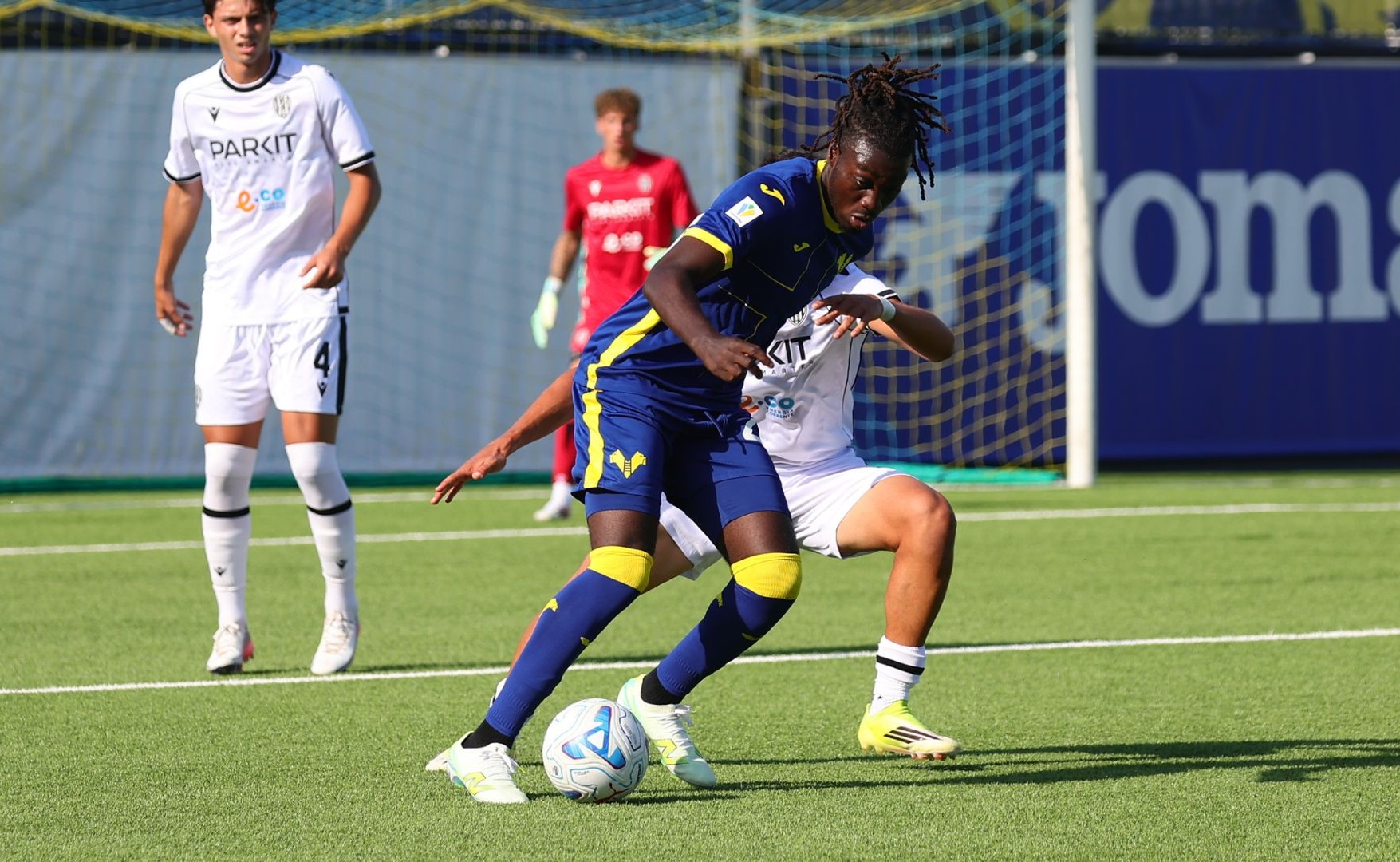 akale primavera hellas verona