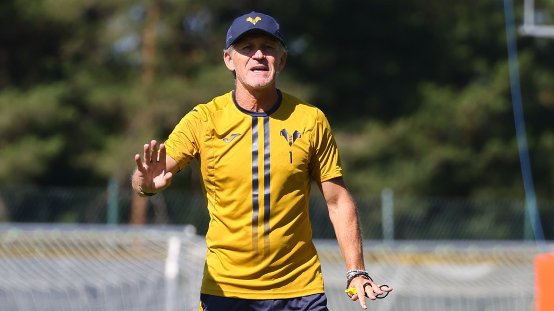 massimo pavanel primavera hellas verona