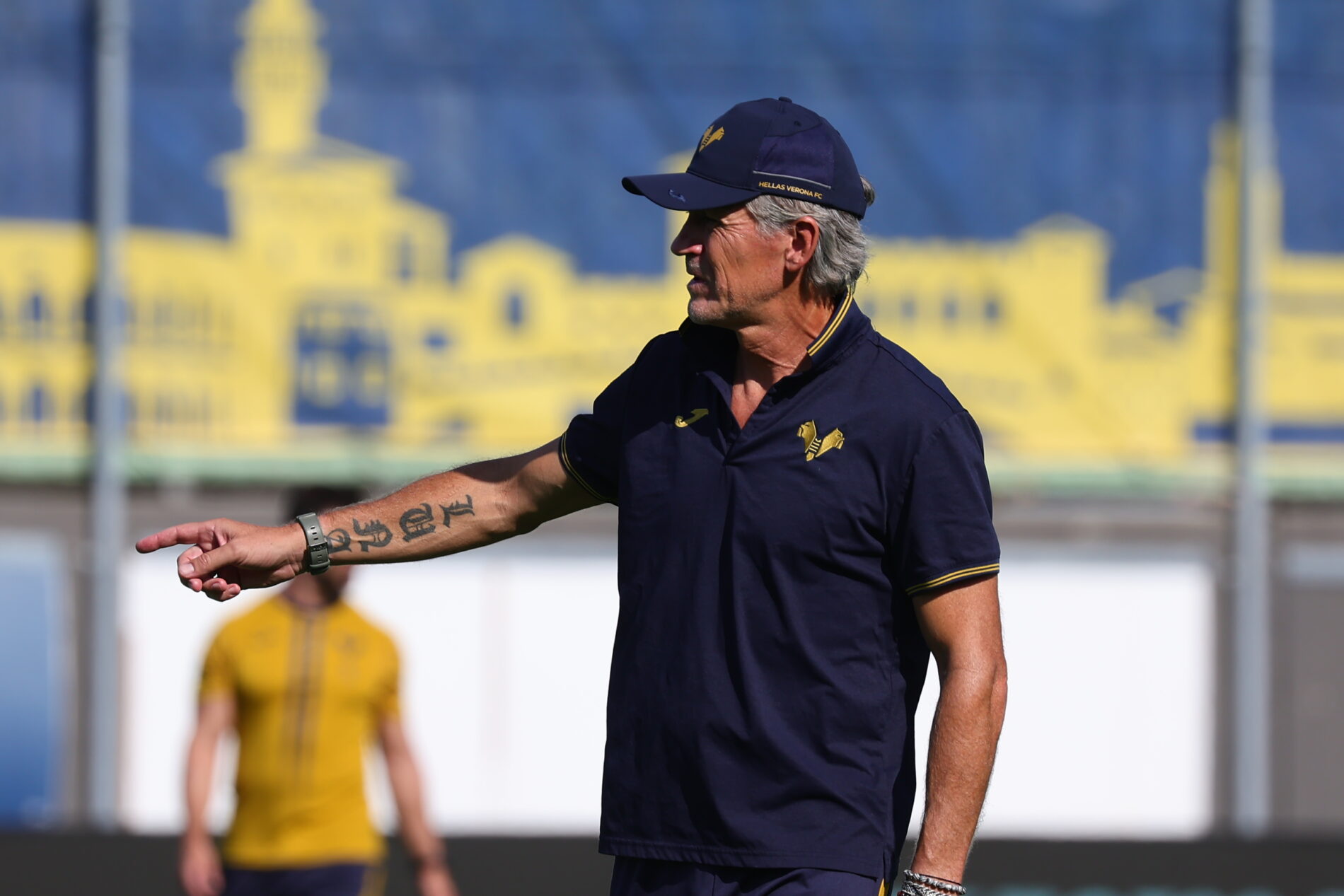 pavanel primavera hellas verona