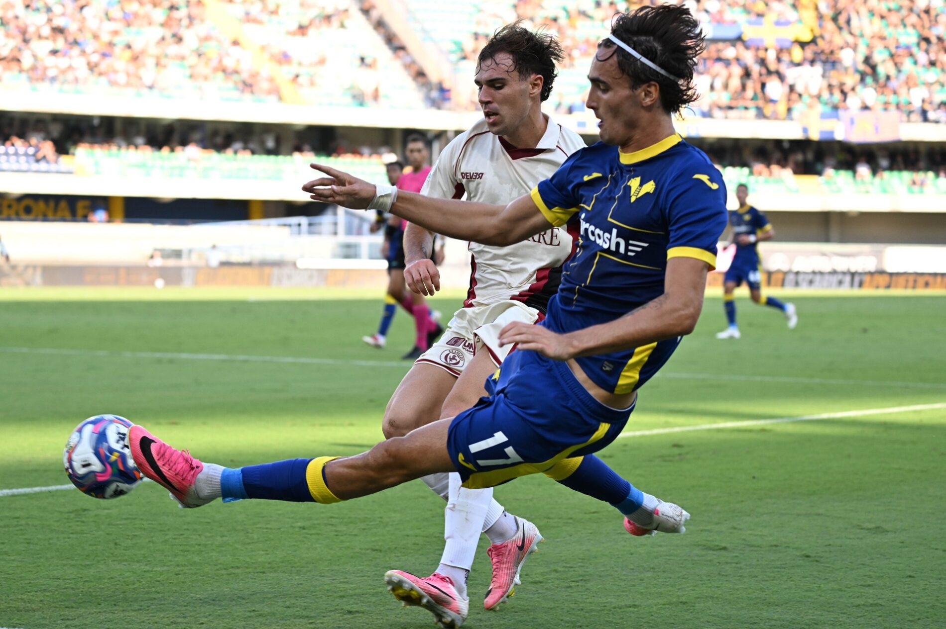 le borgne hellas verona