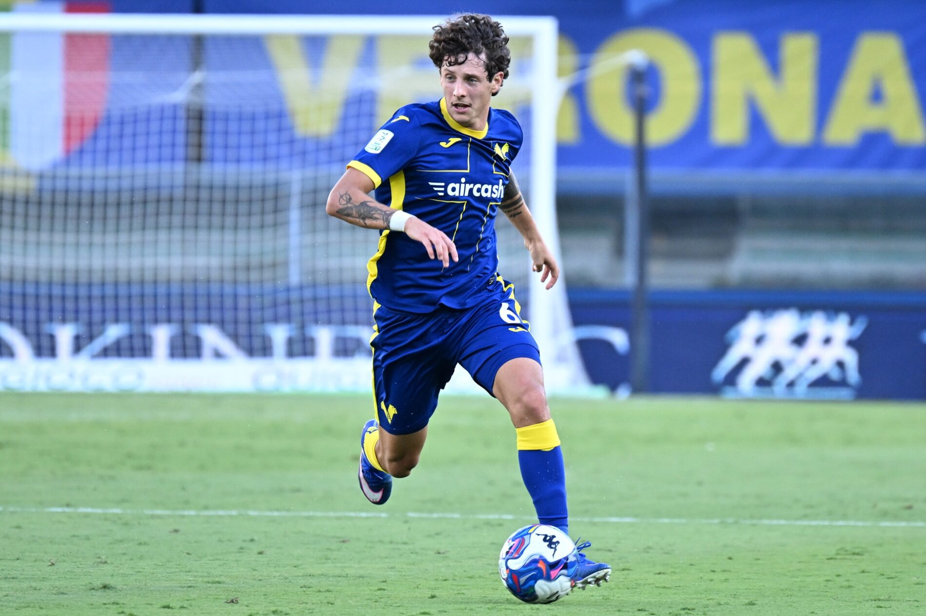 domagoj bradaric hellas verona