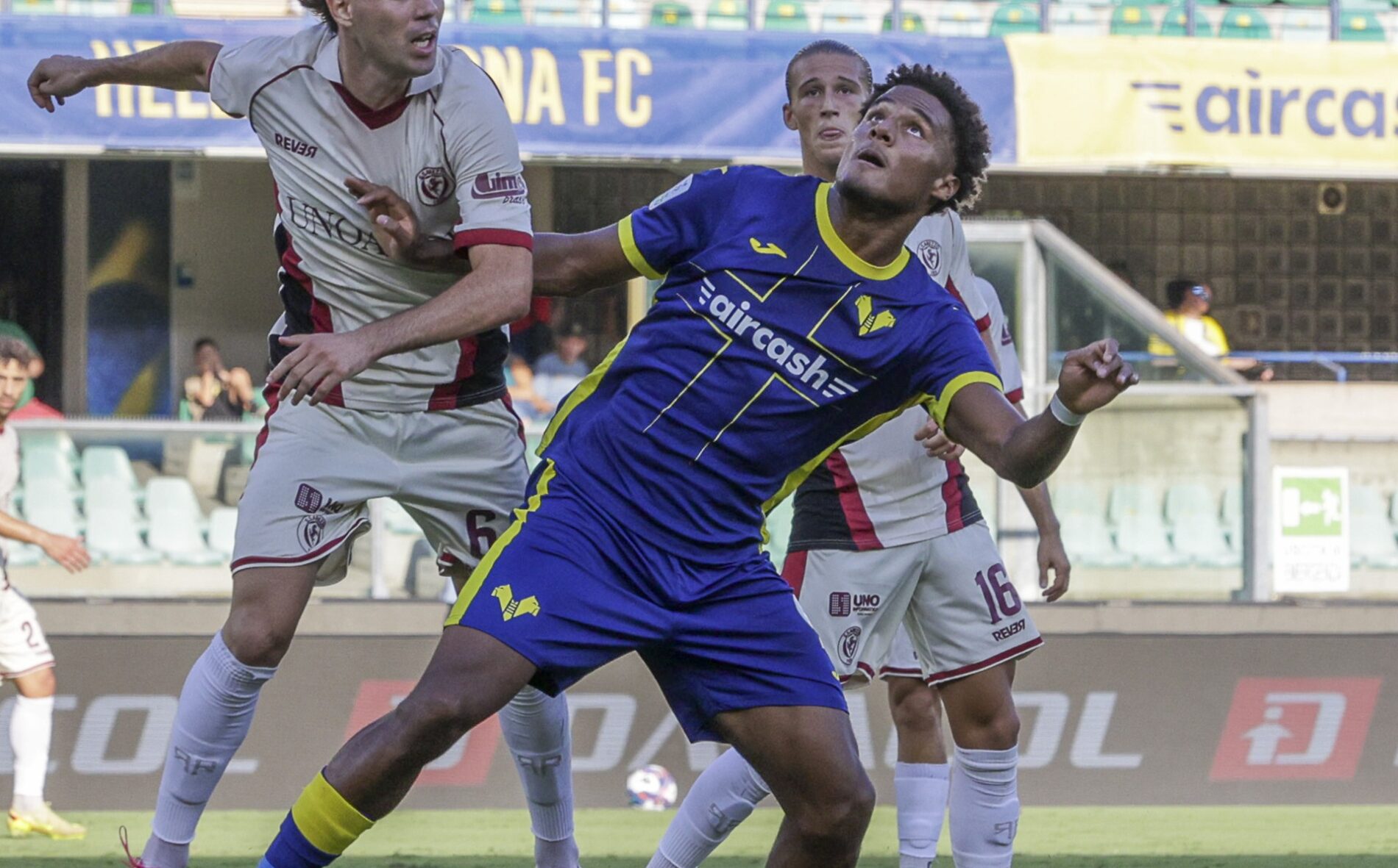 Verona-Vicenza, numeri e curiosità del match