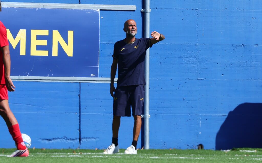 manuel spinale primavera hellas verona