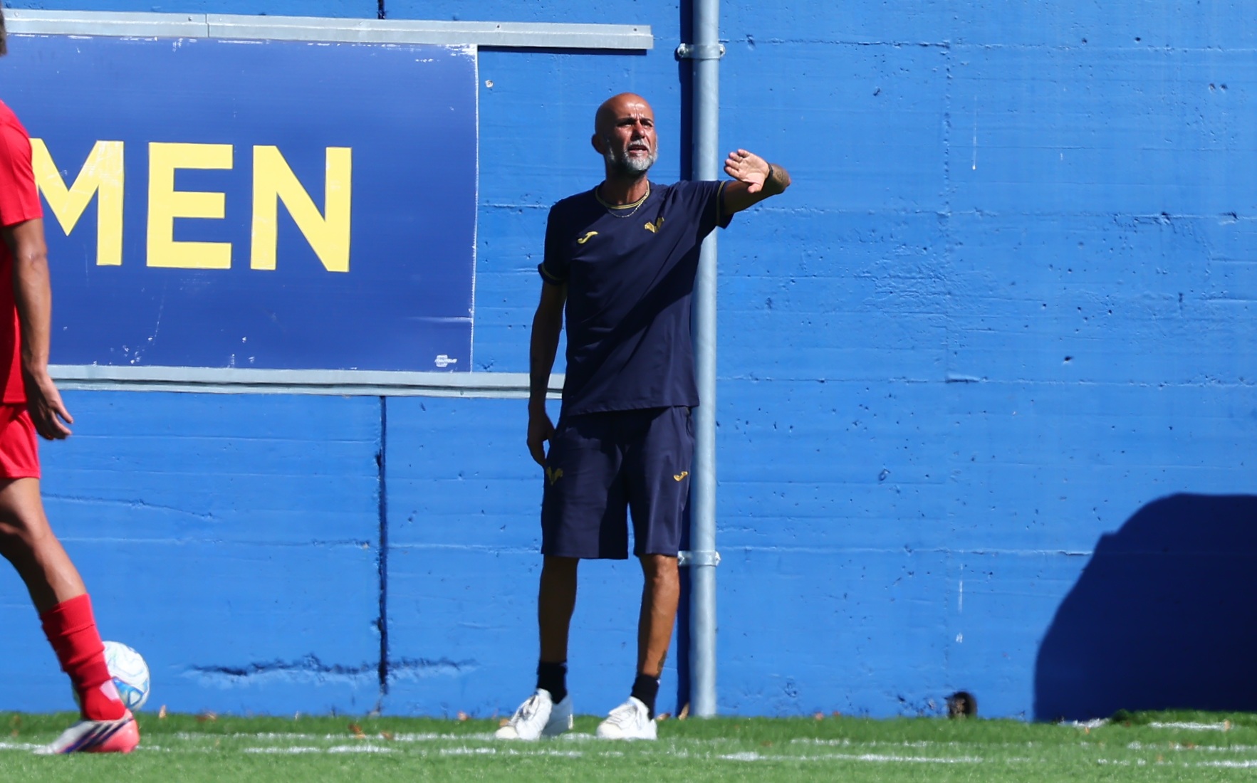 manuel spinale primavera hellas verona