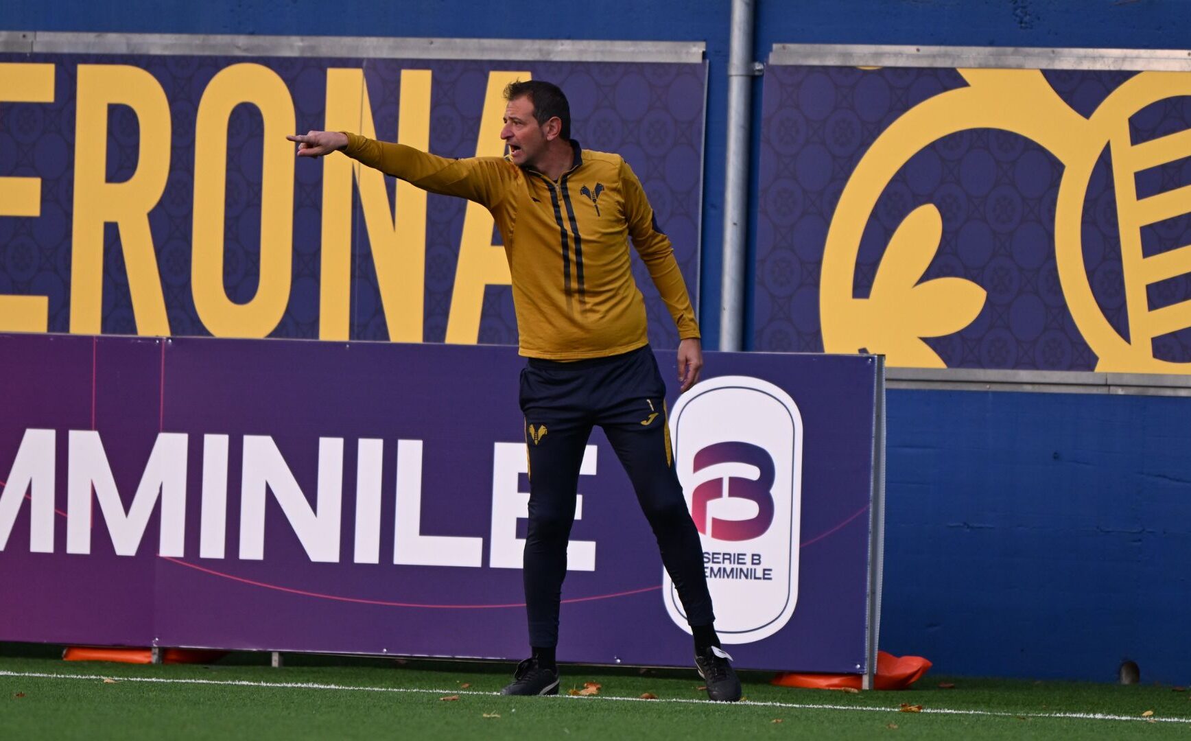 vincenzo de martino hellas verona women