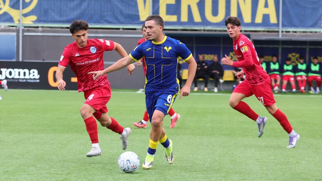 garofalo primavera hellas verona