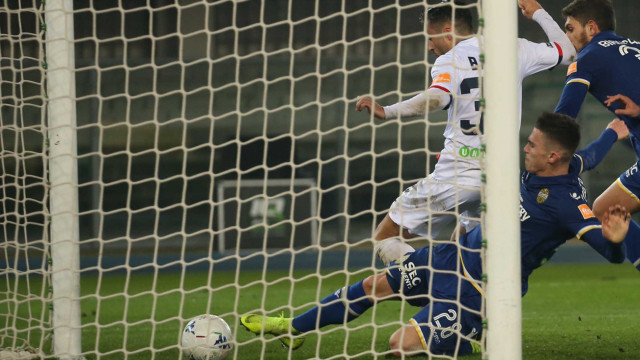 HELLAS VERONA-COSENZA 28-01-2019. GOL DI LUBOMIR TUPTA. SILPRESS