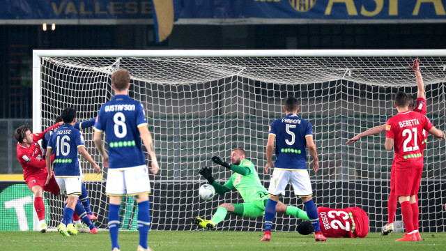 goal Gianpaolo pazzini
Verona 16 -03 -2019 campionato Serie B 29 Giornata 2018 / 2019
Hellas Verona - Ascoli
Foto Alberto Mariani SilPress