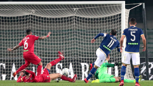 goal Gianpaolo pazzini
Verona 16 -03 -2019 campionato Serie B 29 Giornata 2018 / 2019
Hellas Verona - Ascoli
Foto Alberto Mariani SilPress