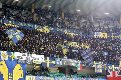 HELLAS  VERONA  /  BOLOGNA  20 -11- 2017 CAMPIONATO SERIE A TIM 2017 -18 SILVER PRESS  PH ALBERTO MARIANI . NELLA FOTO -  TIFOSI HELLAS VERONA