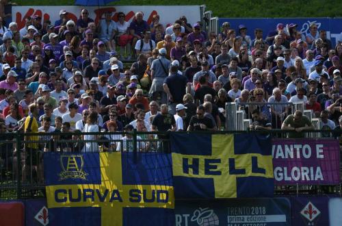 Amichevole Fiorentina-Verona, tifosi