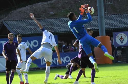 Amichevole Fiorentina-Verona, Alban Lafont